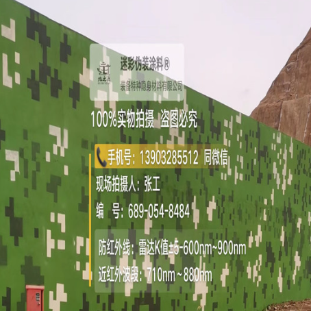 北辰专业承接园区围墙迷彩喷涂、